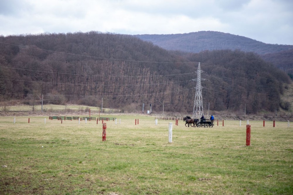 Judeţul Covasna va avea o echipă de hochei seniori